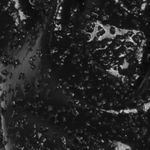 guante de nitrilo negro