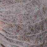 RD-CP08-2-1-