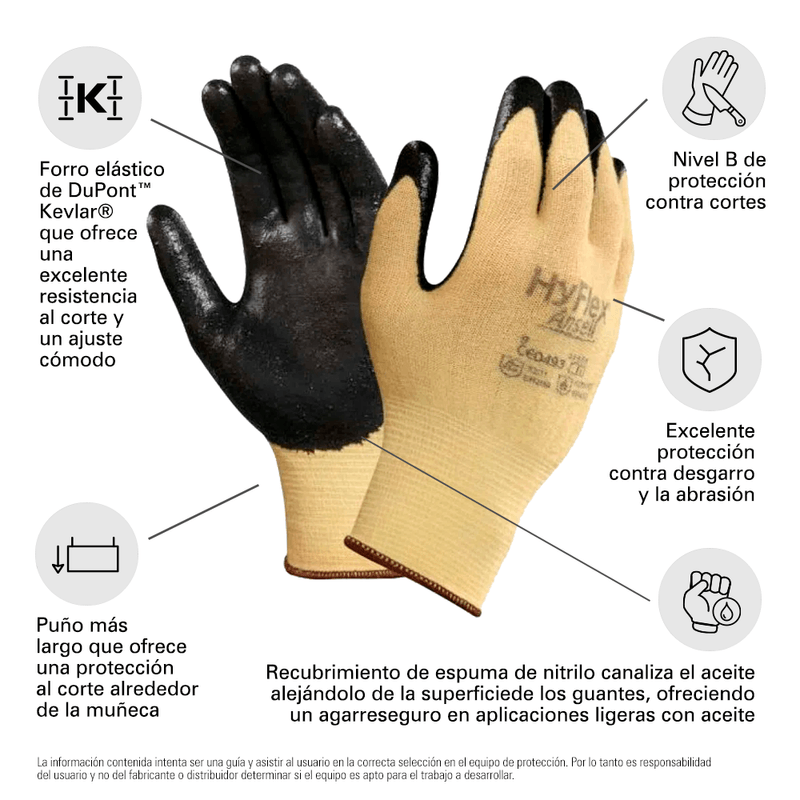 AE-11500_infografia