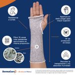 50-614-infografia