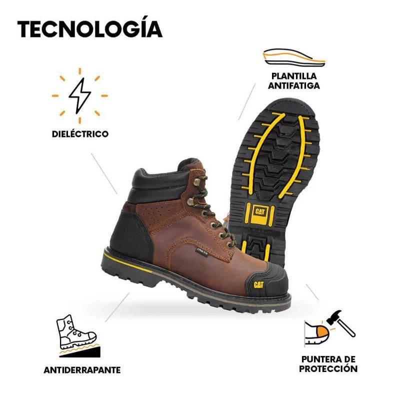 BotaBEP725126CInfografia