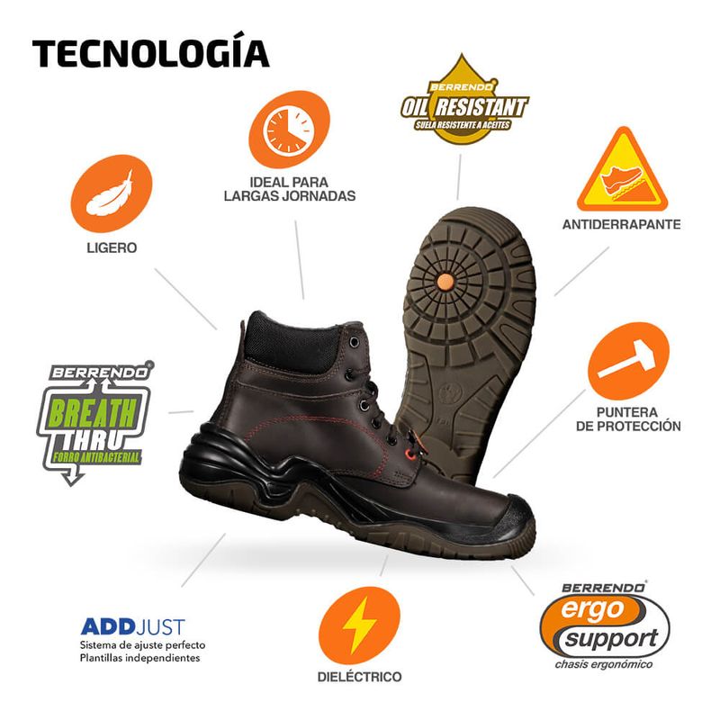 BE-3017-C-5_infografia.jpg