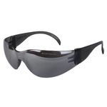 Lentes de seguridad Steel AL012GR DermaCare gris anti rayaduras